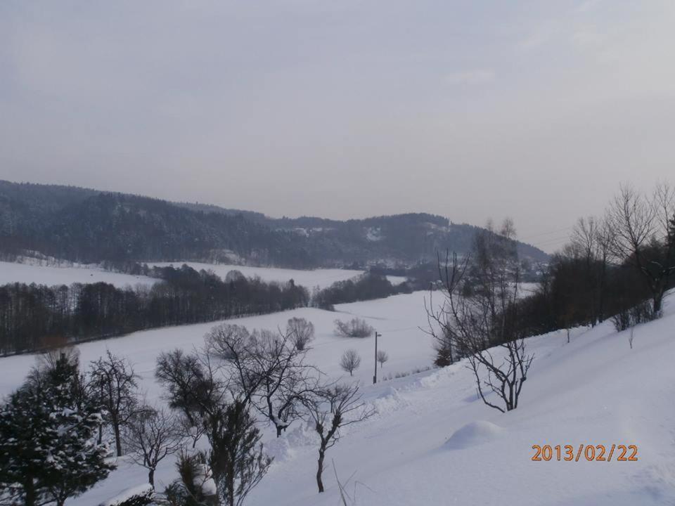 Вилла Charming House With Beautiful Landscape Frydstejn Экстерьер фото